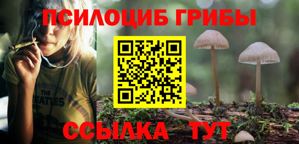 Нововоронеж  Псилоцибиновые грибы GOLDEN TEACHER  купить  цена  Вход с VPN 