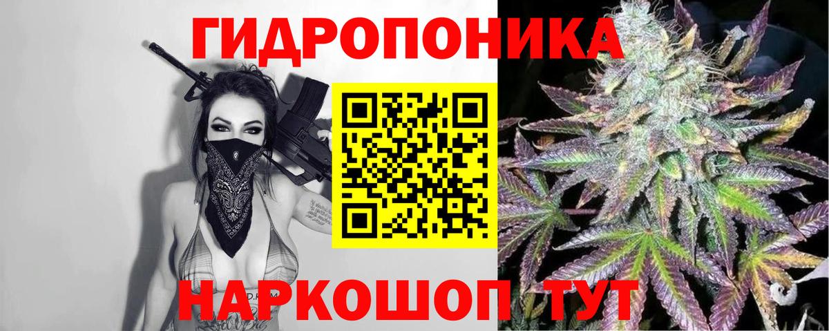 Каннабис гибрид Нововоронеж